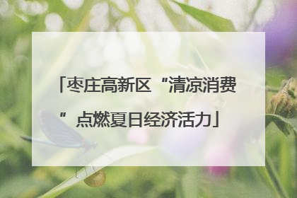 枣庄高新区“清凉消费”点燃夏日经济活力