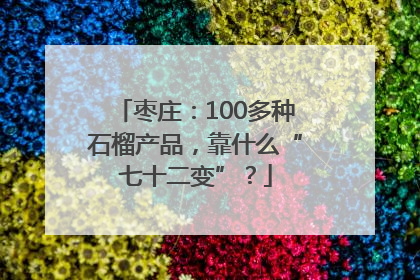 枣庄：100多种石榴产品，靠什么“七十二变”？