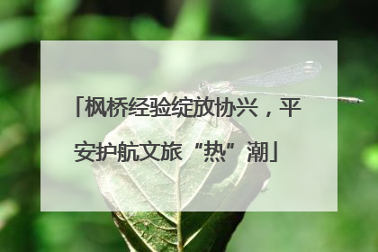 枫桥经验绽放协兴，平安护航文旅“热”潮