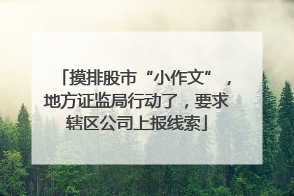 摸排股市“小作文”，地方证监局行动了，要求辖区公司上报线索