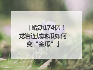 撬动174亿！龙岩连城地瓜如何变“金瓜”