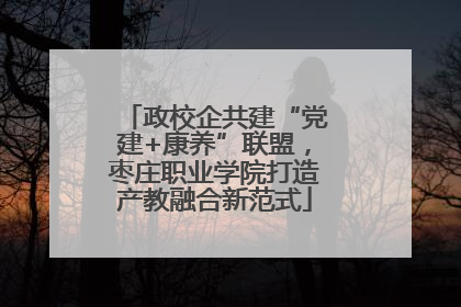 政校企共建“党建+康养”联盟，枣庄职业学院打造产教融合新范式