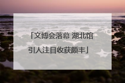 文博会落幕 湖北馆引人注目收获颇丰