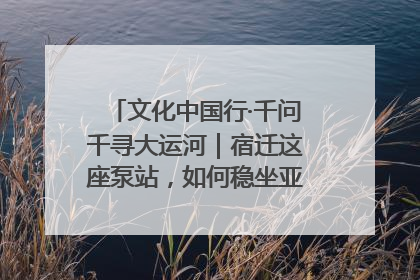 文化中国行·千问千寻大运河｜宿迁这座泵站，如何稳坐亚洲第一宝座？