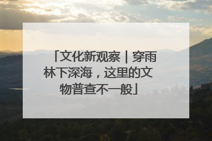 文化新观察｜穿雨林下深海，这里的文物普查不一般