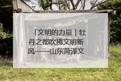 文明的力量｜牡丹之都吹拂文明新风——山东菏泽文明创建一线见闻