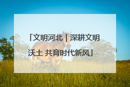 文明河北｜深耕文明沃土 共育时代新风
