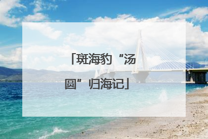 斑海豹“汤圆”归海记
