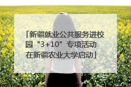 新疆就业公共服务进校园“3+10”专项活动在新疆农业大学启动