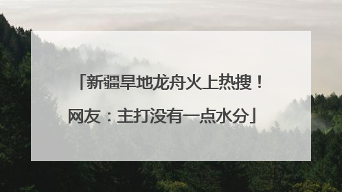 新疆旱地龙舟火上热搜！网友：主打没有一点水分