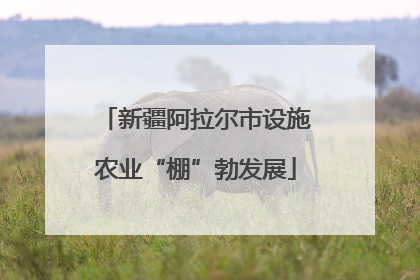 新疆阿拉尔市设施农业“棚”勃发展