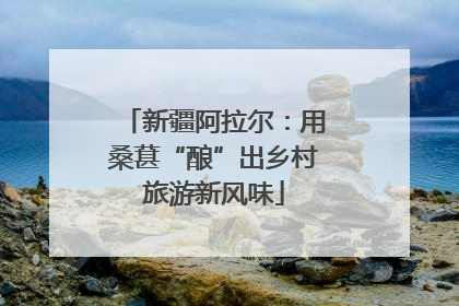 新疆阿拉尔：用桑葚“酿”出乡村旅游新风味
