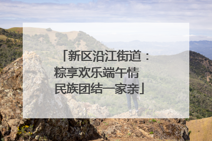 新区沿江街道：粽享欢乐端午情 民族团结一家亲