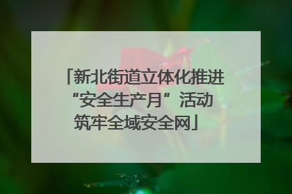 新北街道立体化推进“安全生产月”活动 筑牢全域安全网