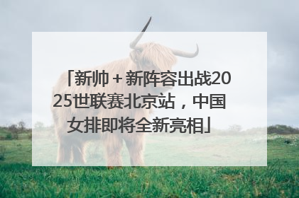新帅＋新阵容出战2025世联赛北京站，中国女排即将全新亮相