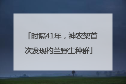 时隔41年，神农架首次发现杓兰野生种群