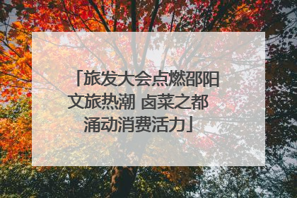 旅发大会点燃邵阳文旅热潮 卤菜之都涌动消费活力