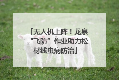 无人机上阵！龙泉“飞防”作业助力松材线虫病防治