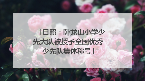 日照：卧龙山小学少先大队被授予全国优秀少先队集体称号