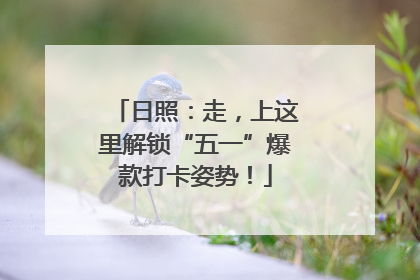 日照：走，上这里解锁“五一”爆款打卡姿势！