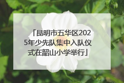昆明市五华区2025年少先队集中入队仪式在韶山小学举行