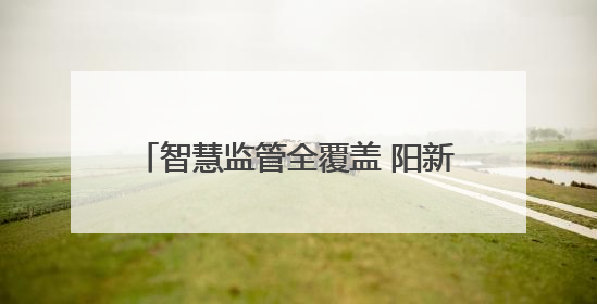 智慧监管全覆盖 阳新县225家集中用餐单位实现“云上明厨亮灶”