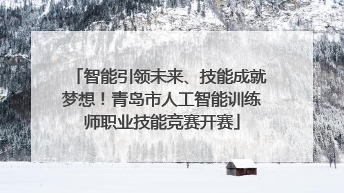 智能引领未来、技能成就梦想！青岛市人工智能训练师职业技能竞赛开赛