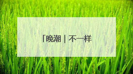 晚潮｜不一样的新塘龙舟