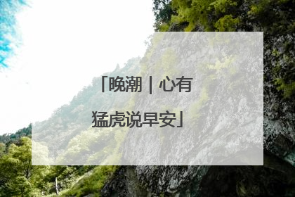 晚潮｜心有猛虎说早安