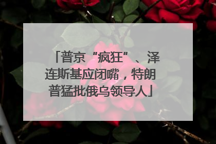 普京“疯狂”、泽连斯基应闭嘴，特朗普猛批俄乌领导人