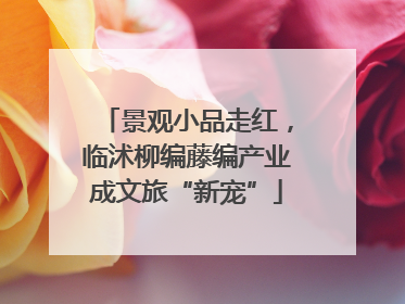 景观小品走红，临沭柳编藤编产业成文旅“新宠”