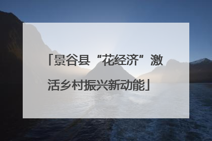 景谷县“花经济”激活乡村振兴新动能