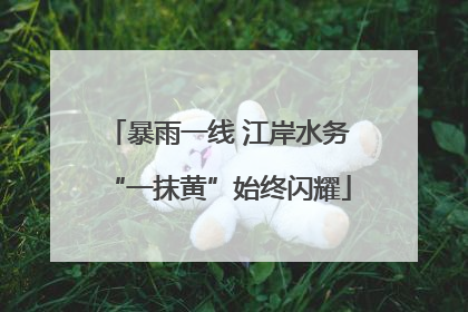 暴雨一线 江岸水务“一抹黄”始终闪耀