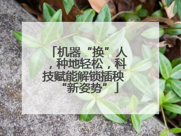 机器“换”人，种地轻松，科技赋能解锁插秧“新姿势”
