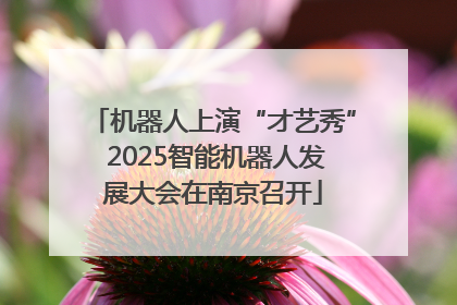 机器人上演“才艺秀” 2025智能机器人发展大会在南京召开