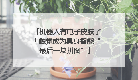机器人有电子皮肤了！触觉或为具身智能“最后一块拼图”