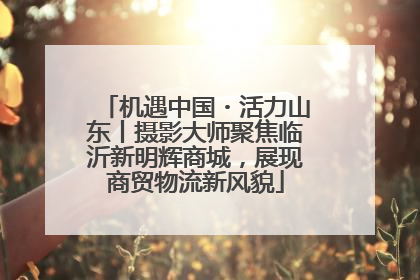 机遇中国・活力山东丨摄影大师聚焦临沂新明辉商城，展现商贸物流新风貌