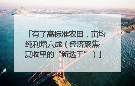 有了高标准农田，亩均纯利增六成（经济聚焦·夏收里的“新选手”）