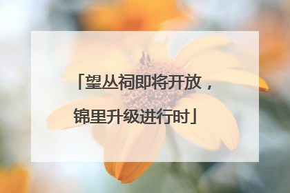 望丛祠即将开放，锦里升级进行时