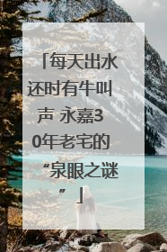 每天出水还时有牛叫声 永嘉30年老宅的“泉眼之谜”