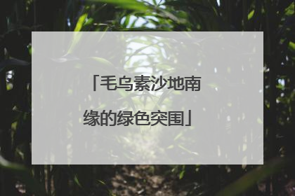 毛乌素沙地南缘的绿色突围