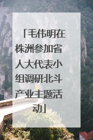 毛伟明在株洲参加省人大代表小组调研北斗产业主题活动