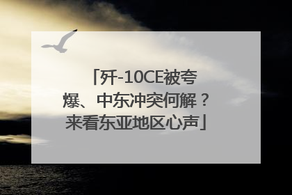 歼-10CE被夸爆、中东冲突何解？来看东亚地区心声