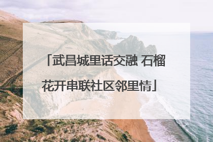 武昌城里话交融 石榴花开串联社区邻里情