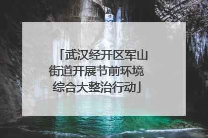 武汉经开区军山街道开展节前环境综合大整治行动