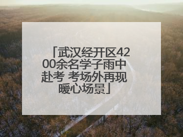 武汉经开区4200余名学子雨中赴考 考场外再现暖心场景