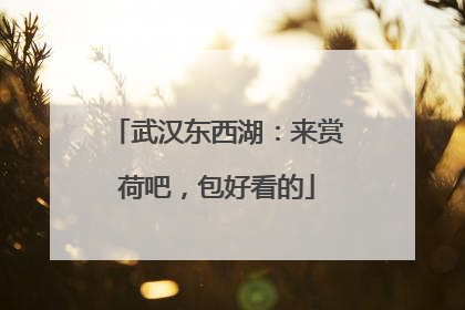 武汉东西湖：来赏荷吧，包好看的