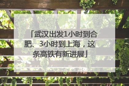 武汉出发1小时到合肥、3小时到上海，这条高铁有新进展