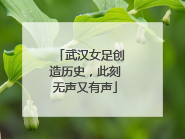 武汉女足创造历史，此刻无声又有声