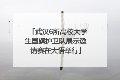 武汉6所高校大学生国旗护卫队展示邀请赛在大悟举行